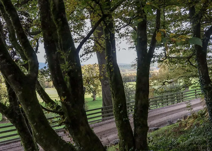 Ballybeg Pod 9 Ferienhaus Arklow